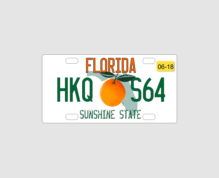 USA style Licence plate