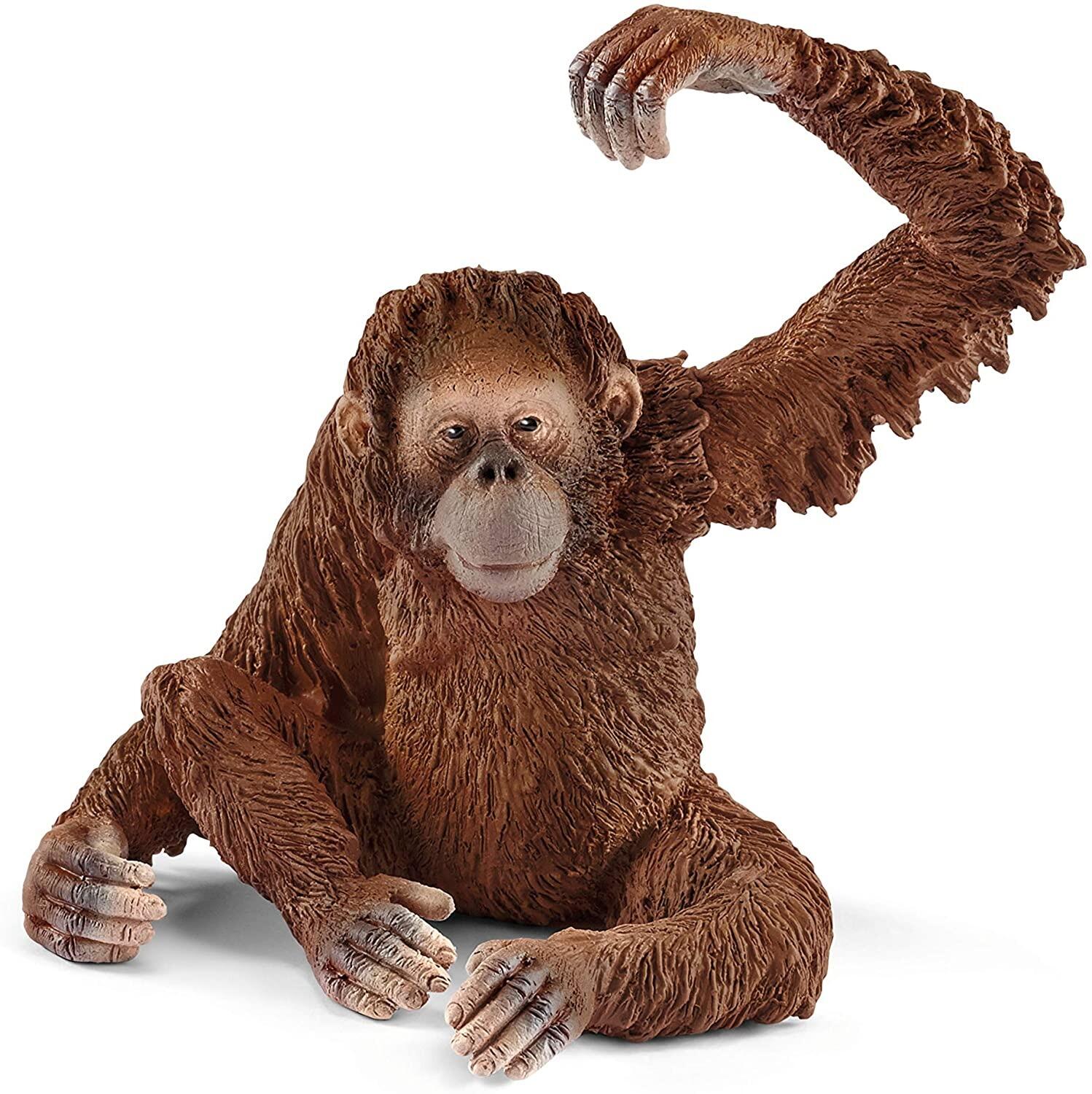 Schleich Orangutan (F) - Wild Life