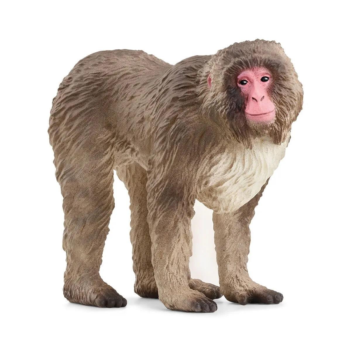 Schleich Wild Life Japanese Macaque Animal Figurine 14871