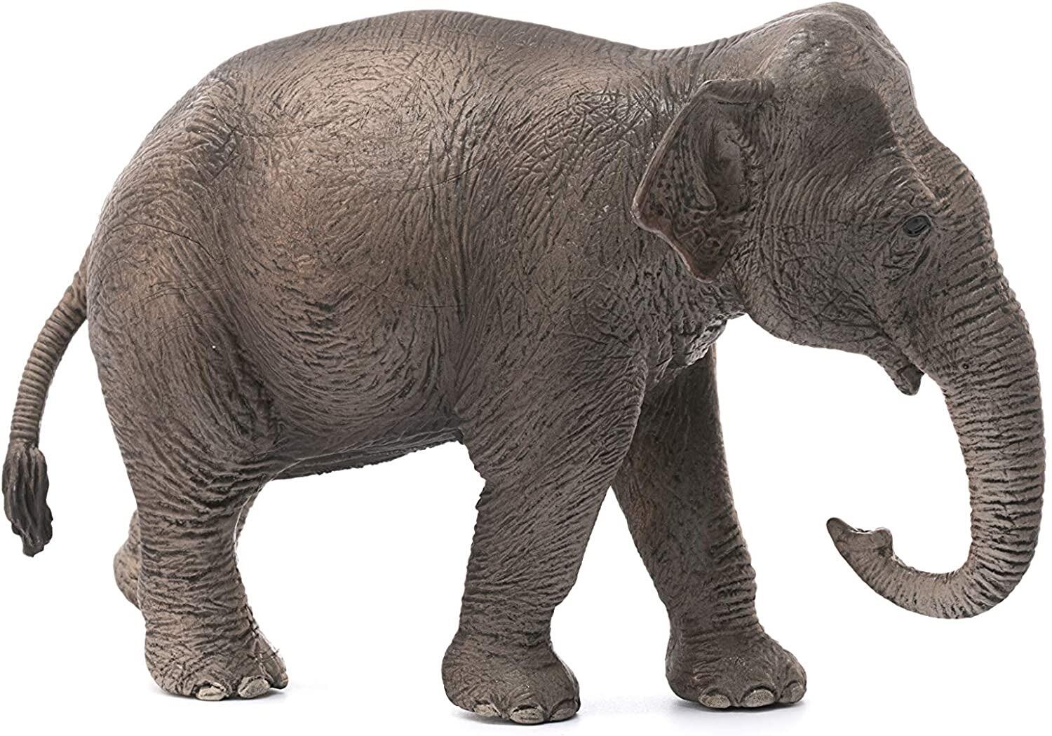 Schleich Asian Elephant Female - Wild Life | Top Pick Toys | Online ...