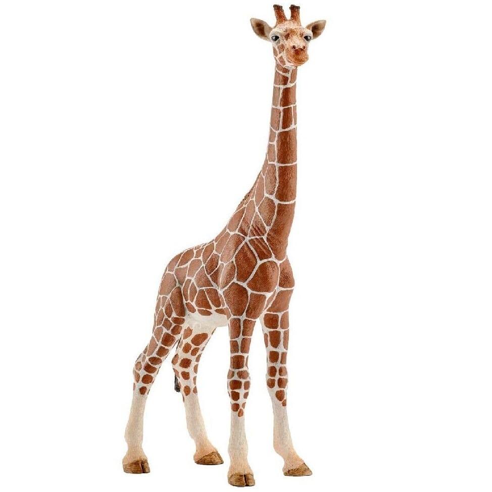 Schleich Wild Life Giraffe Male Animal Toy Figure