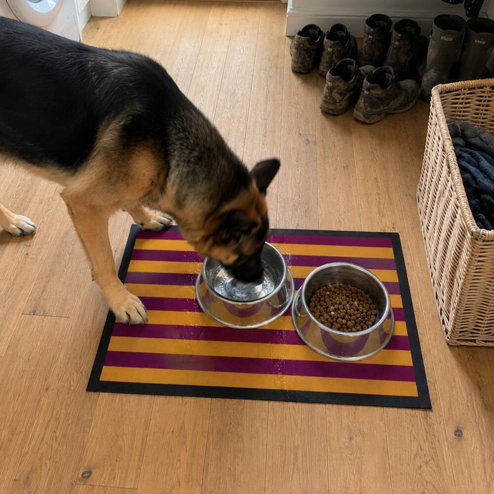 Best Pet Mats for Hardwood Floors