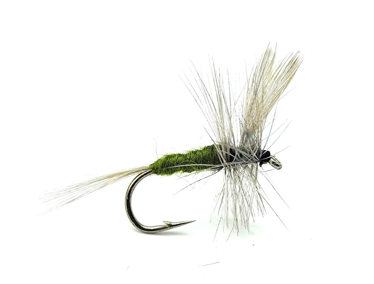 Flash Damsels Per Trote – 3 Mosche Da Pesca Hothead Black Red Flash Taglia 10 – Trout Flies UK