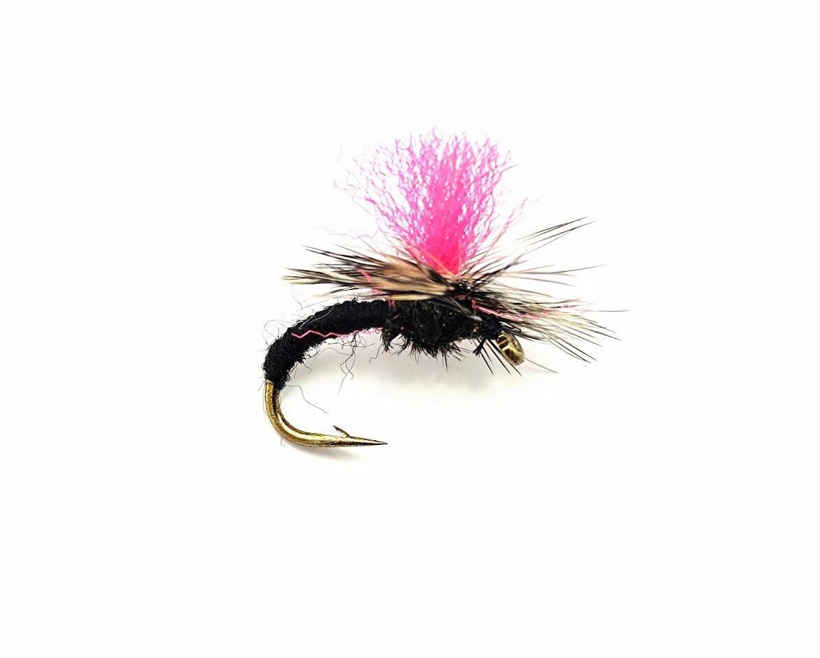 TroutfliesUK Nymphen 24 Diawl Bach Inkl. Alle Muster Forellenangeln Fliegen Größe 38-12
