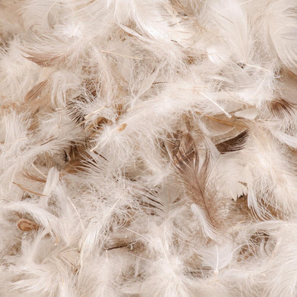 Close-up of feather filling for a continental feather pillow