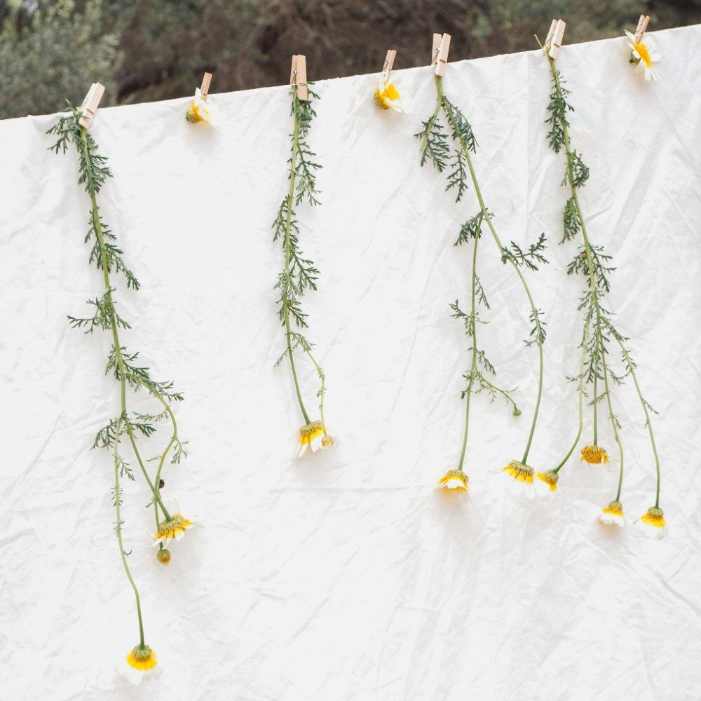 White Polycotton lining fabric draped over a line with flowers