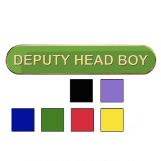 Coloured Bar Shaped Deputy Head Boy Badges