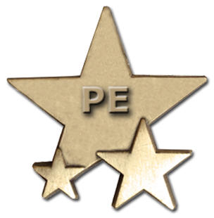 Triple Star Badge - PE