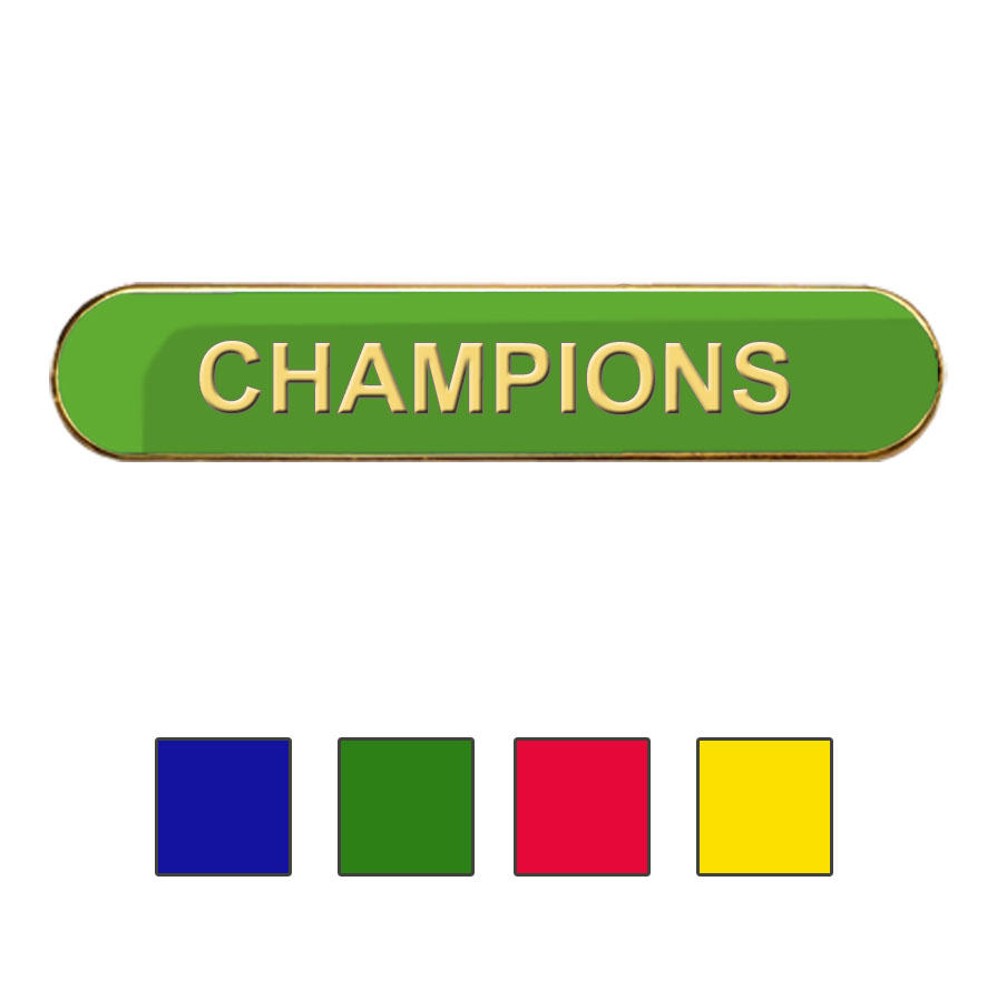 Coloured Bar Shaped Champions Badges