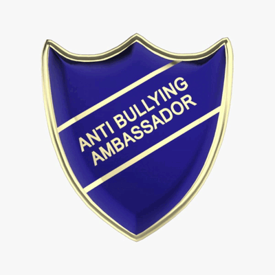 Anti Bullying Ambassador school badges SPINNER