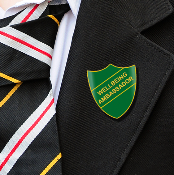 WELLBEING AMBASSADOR GREEN