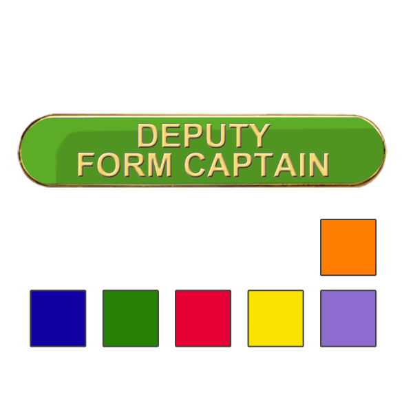 Coloured Bar Shaped Deputy Form Captain Badges