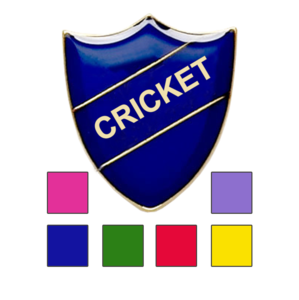 Cricket School Badges shield