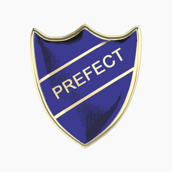 Prefect spinning badge