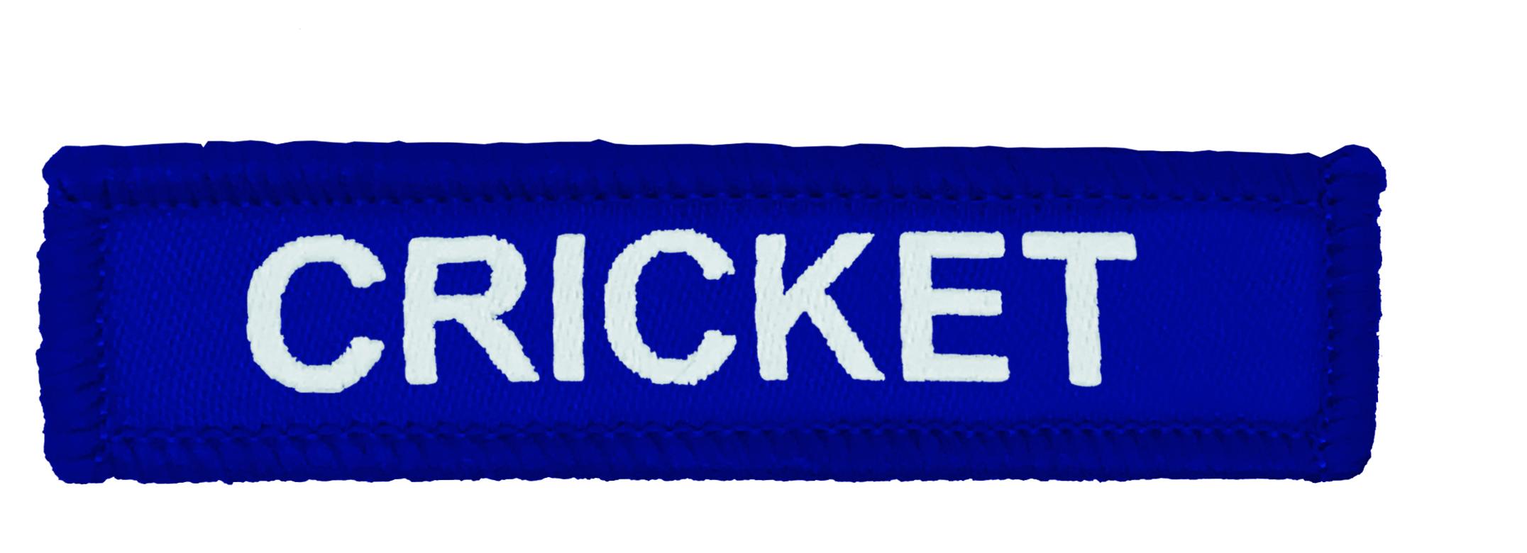 Blue Woven Cricket Badge