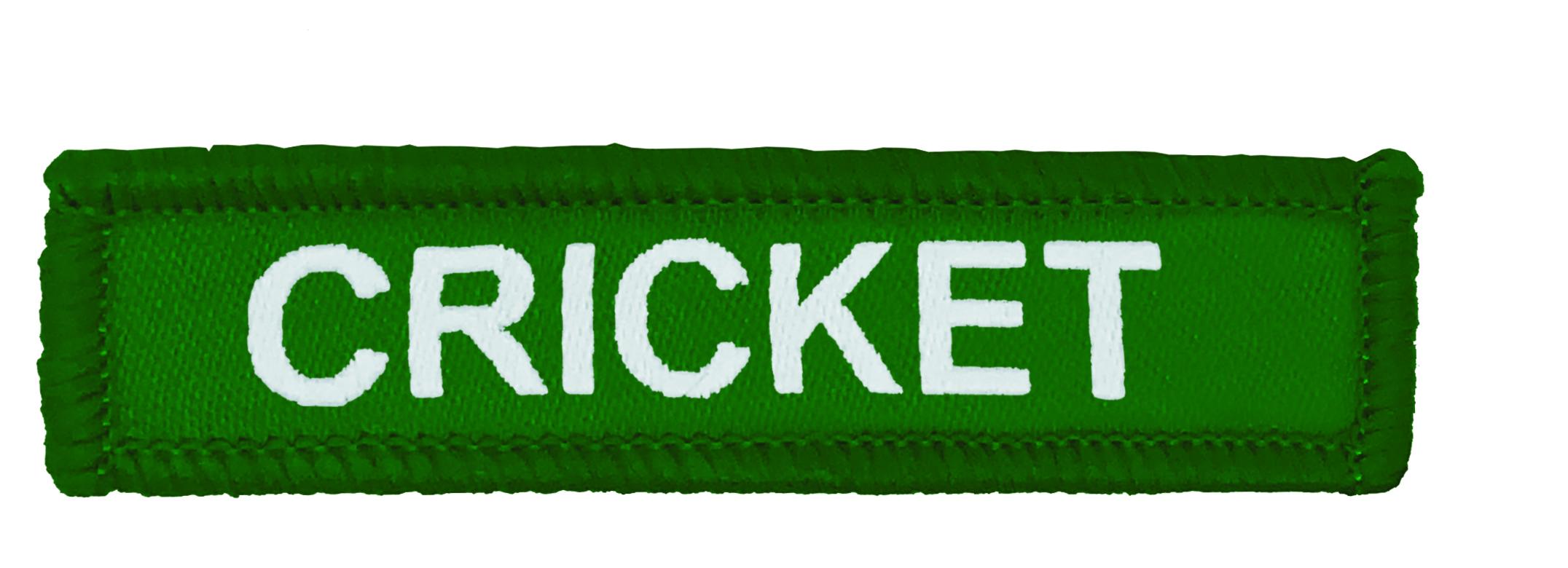 Green Woven Cricket Badge
