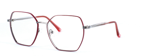 Grus - unisex 2-tone burgundy & silver glasses frame - image view 1