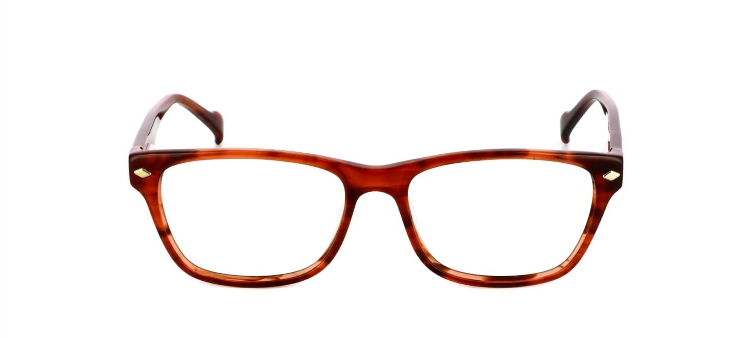 Abberley - plastic unisex glasses frames - tortoise - image view 5