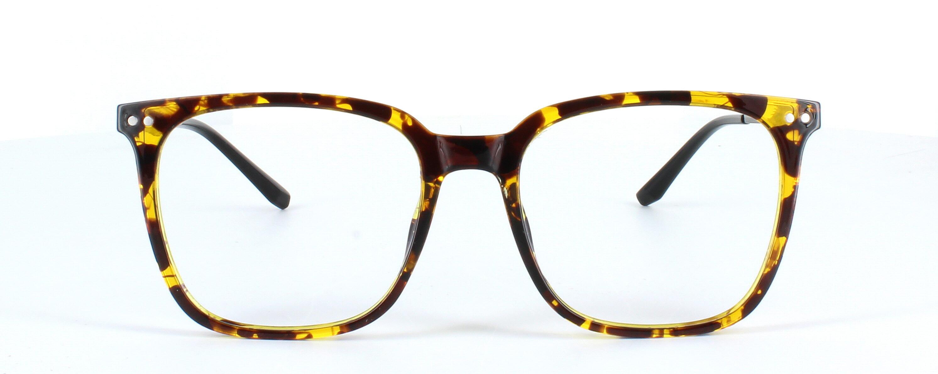 Edward Scotts ST6202 - Tortoise - Gent's acetate frame with square shaped lenses with silver titanium arms - image view 2