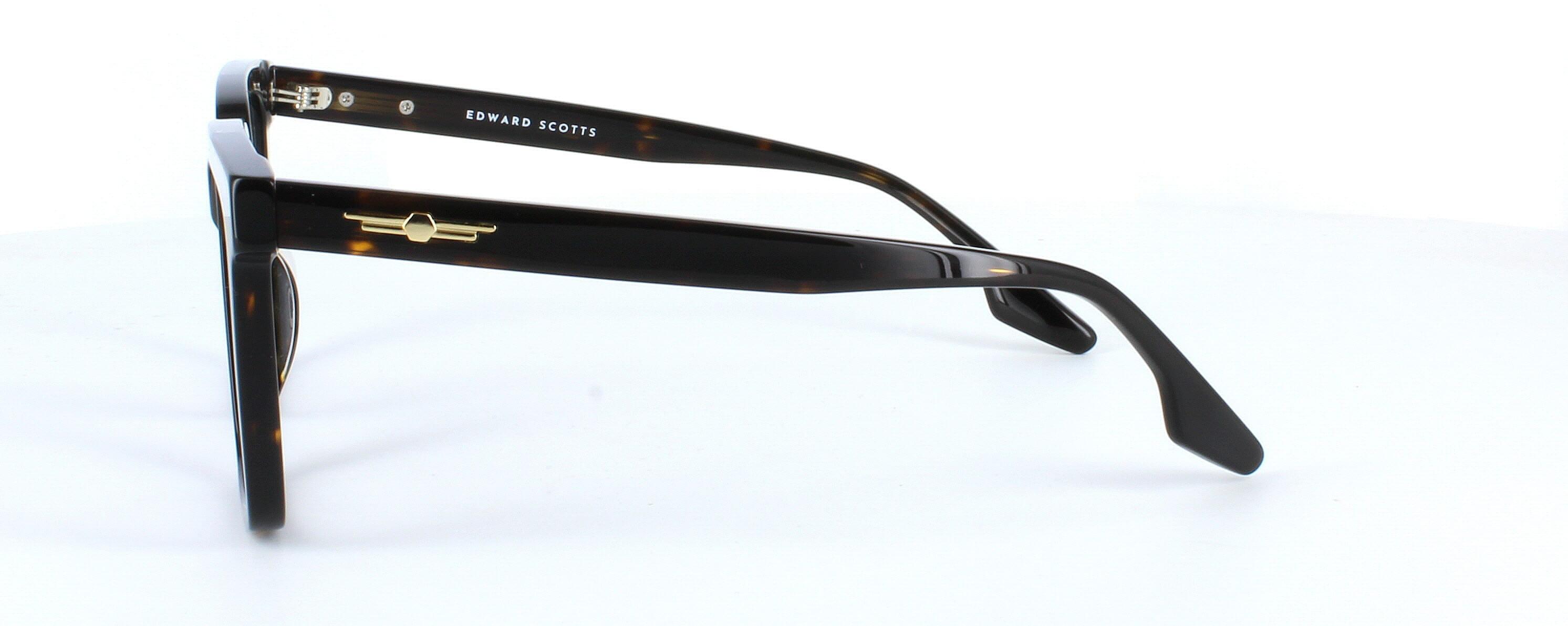 Edward Scotts PS8803 - Brown - Gent's bold statement acetate frame with square shaped lenses - image view 3