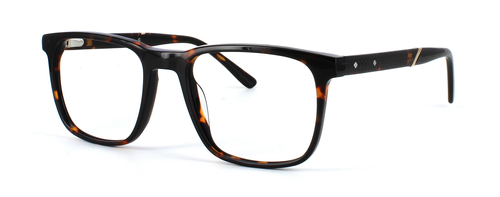 Vermeer - Sleek unisex rectangular shaped acetate glasses in shiny tortoise with sprung hinged temples - image view 1