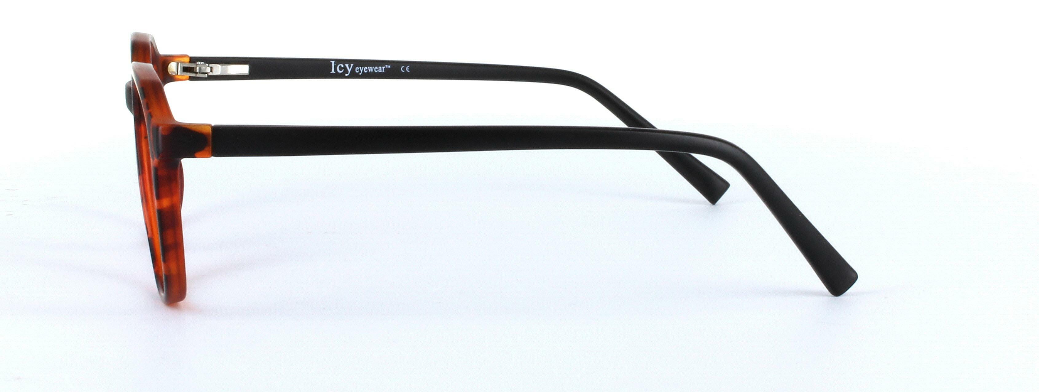 Jango Tortoise Full Rim Round Plastic Glasses - Image View 2