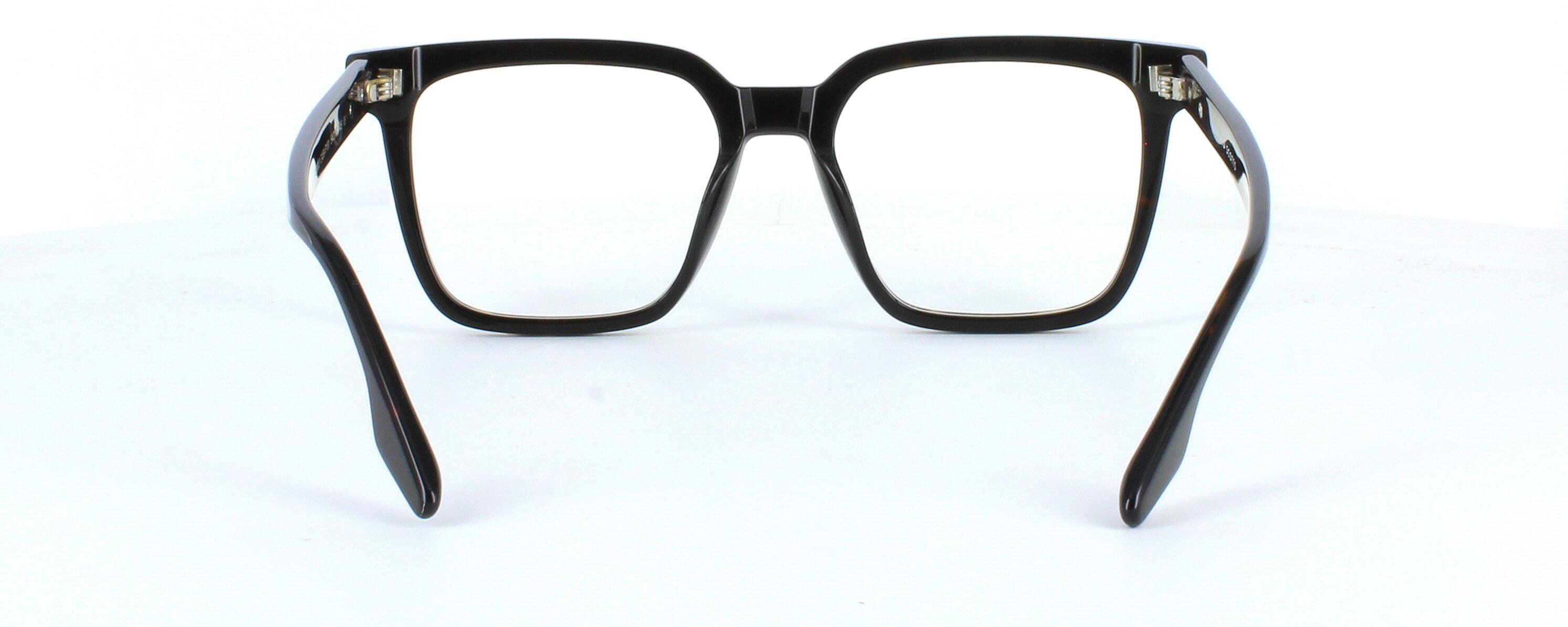 Edward Scotts PS8803 - Brown - Gent's bold statement acetate frame with square shaped lenses - image view 4