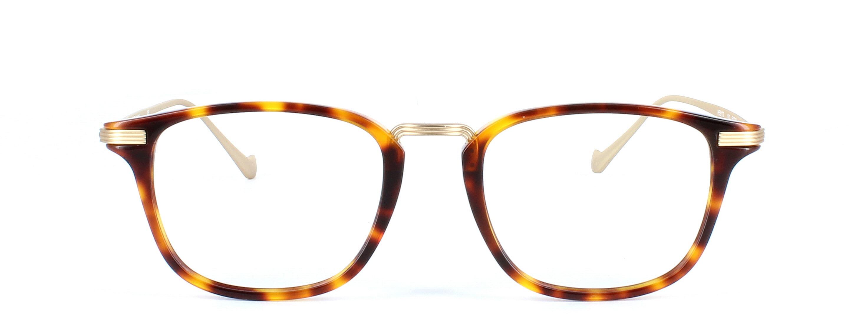 Hackett 172 - Unisex acetate and metal glasses frame in tortoise and gold - image 4