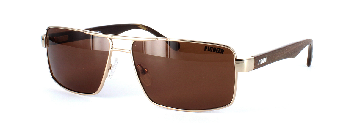 Odonata - Unisex aviator style prescription sunglasses in gold - image view 1