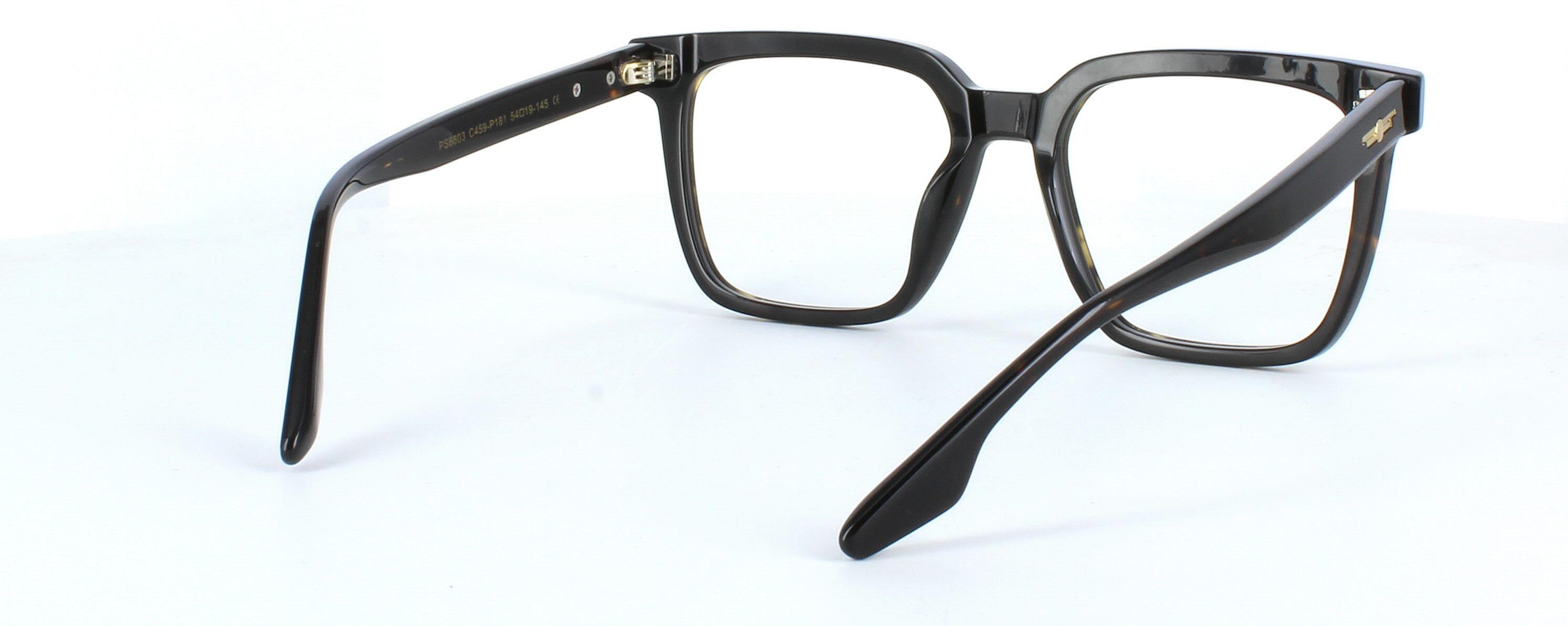 Edward Scotts PS8803 - Brown - Gent's bold statement acetate frame with square shaped lenses - image view 5