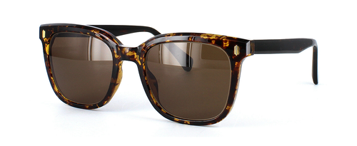 Edward Scotts TRBC901 - Prescription sunglasses - Mottled Brown square shaped unisex acetate - image view 1