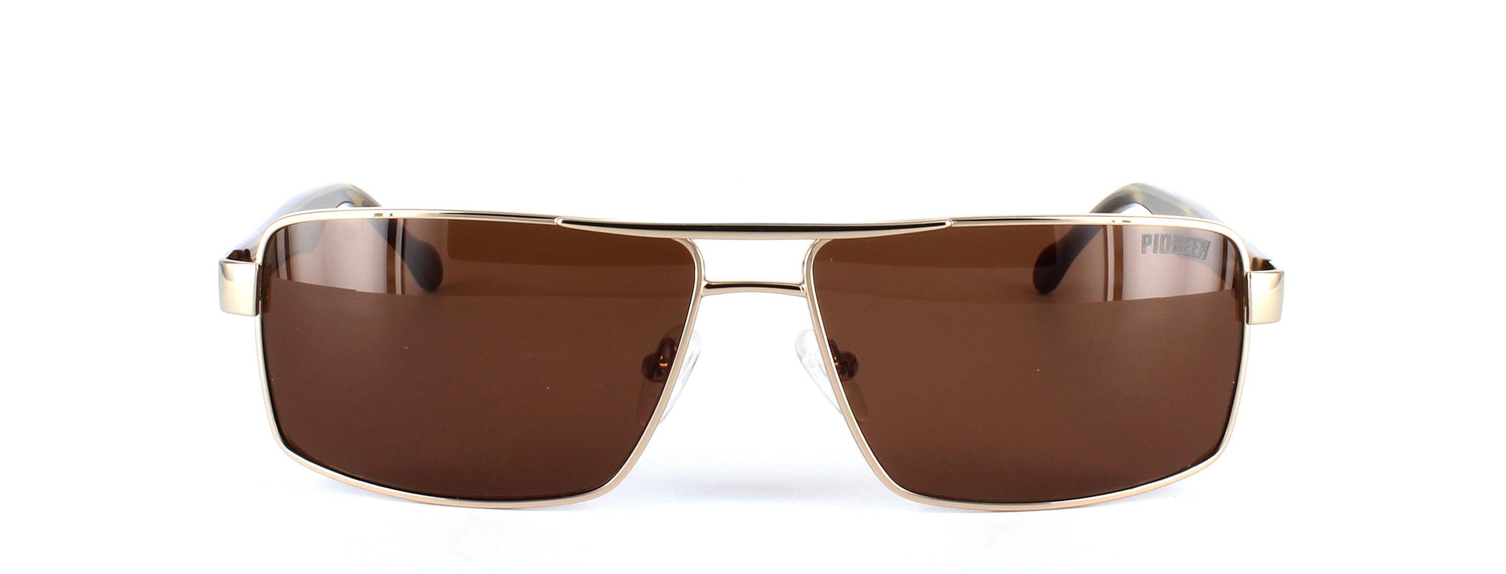 Odonata - Unisex aviator style prescription sunglasses in gold - image view 5