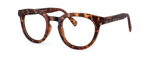 Conway - Unisex round shaped plastic tortoise coloured glasses - image view 1