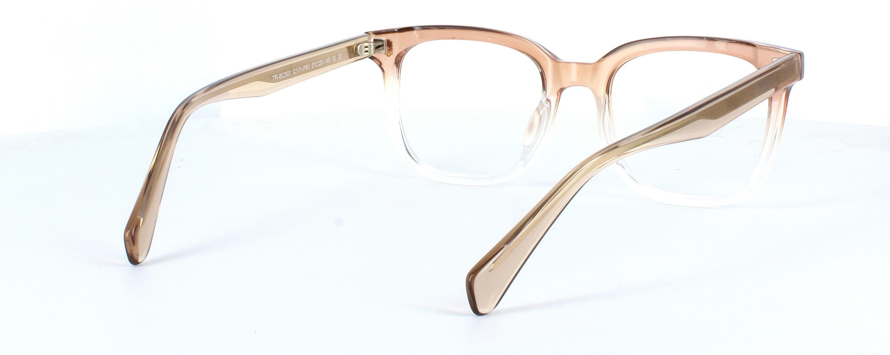 Edward Scotts TRBC901 - Clear crystal & brown - Unisex acetate retro style glasses frame with square shaped lenses - image view 5