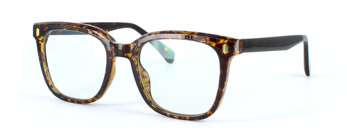 Edward Scotts TRBC901 - Mottled brown - Unisex acetate retro style glasses frame with square shaped lenses - image view 1