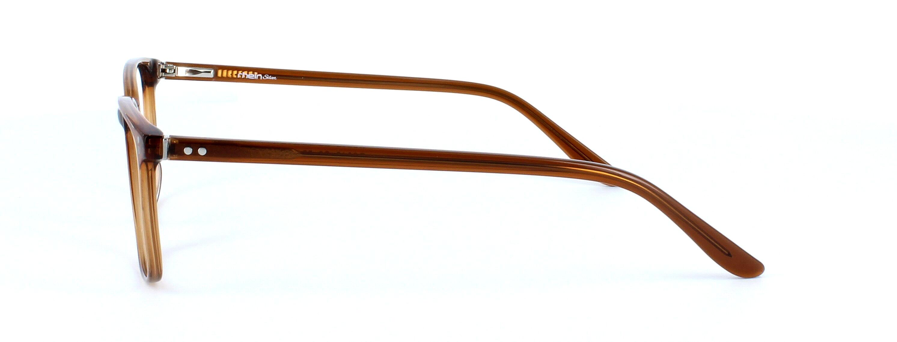 Farrington - brown unisex plastic glasses frame - image view 2