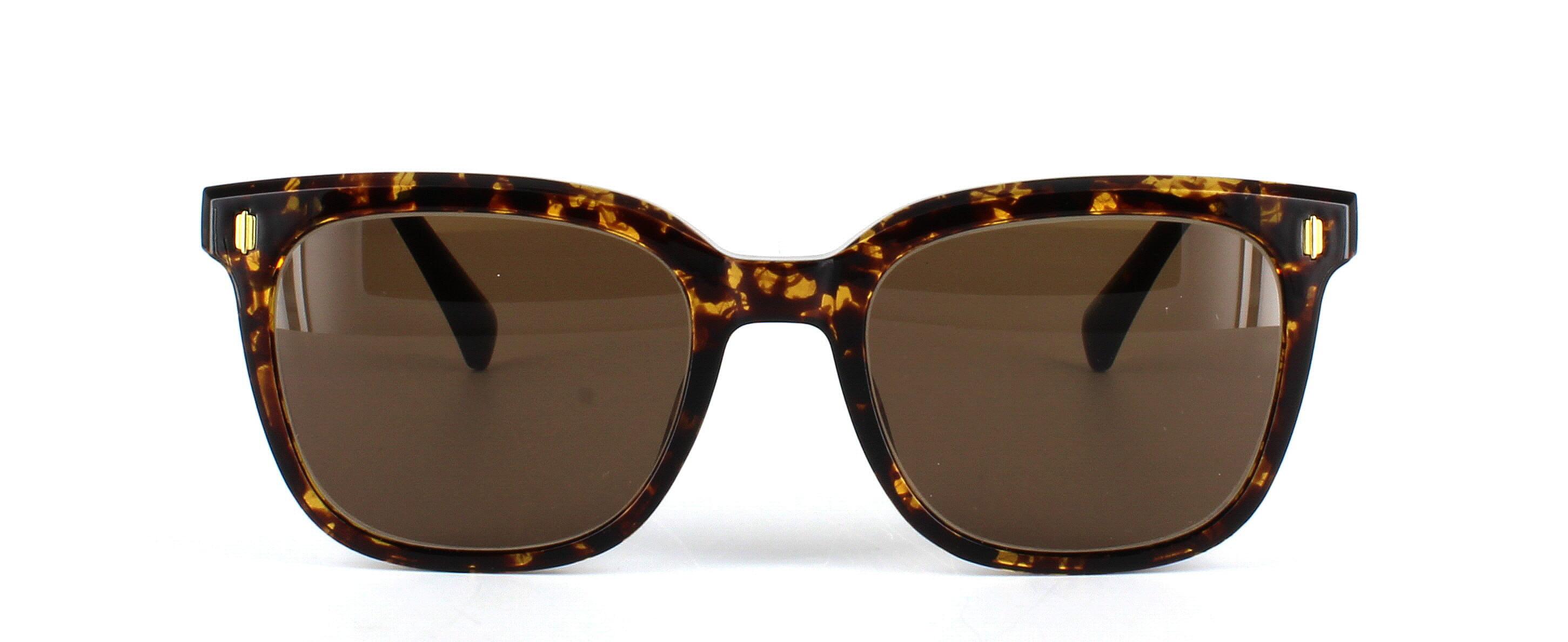 Edward Scotts TRBC901 - Prescription sunglasses - Mottled Brown square shaped unisex acetate - image view 2