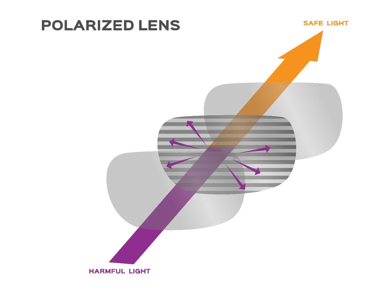 Polarised lenses