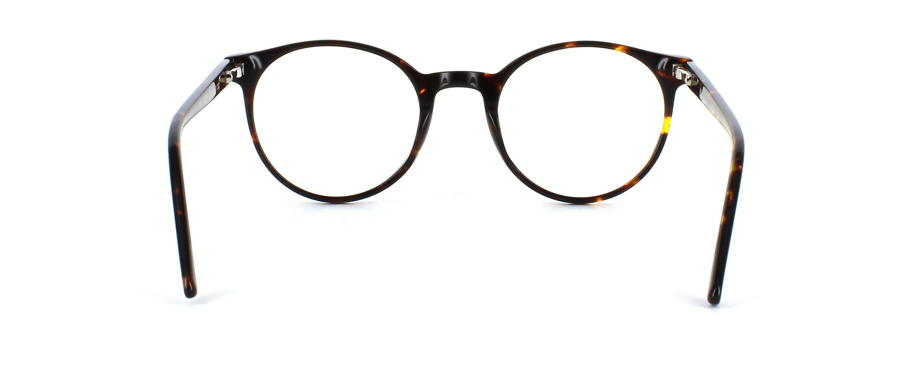 Edward Scotts Hepworth - Round shaped acetate glasses for women here presented in shiny tortoise with matching sprung hinged arms - image view 3
