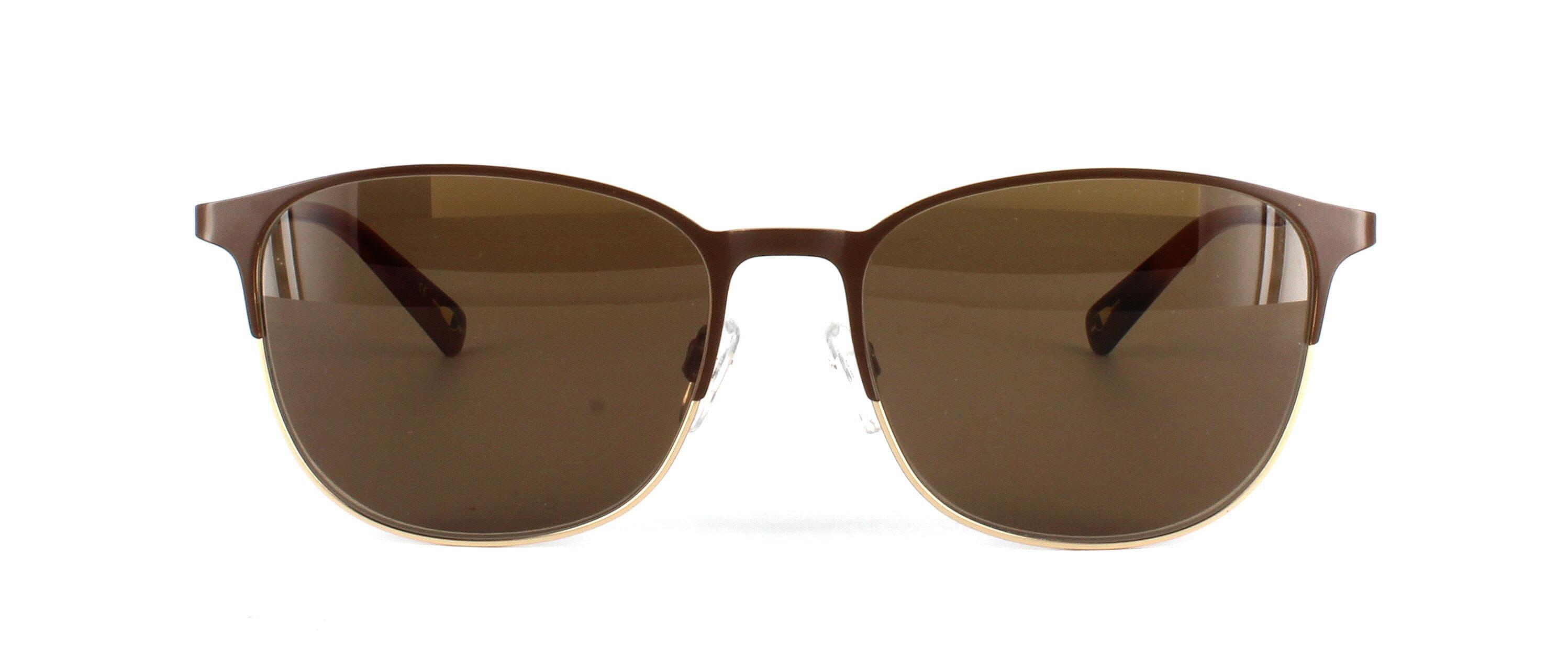 Ted Baker 4311 Prescription sunglasses - Brown and gold metal glasses with gold sprunge hinges arms - image view 5