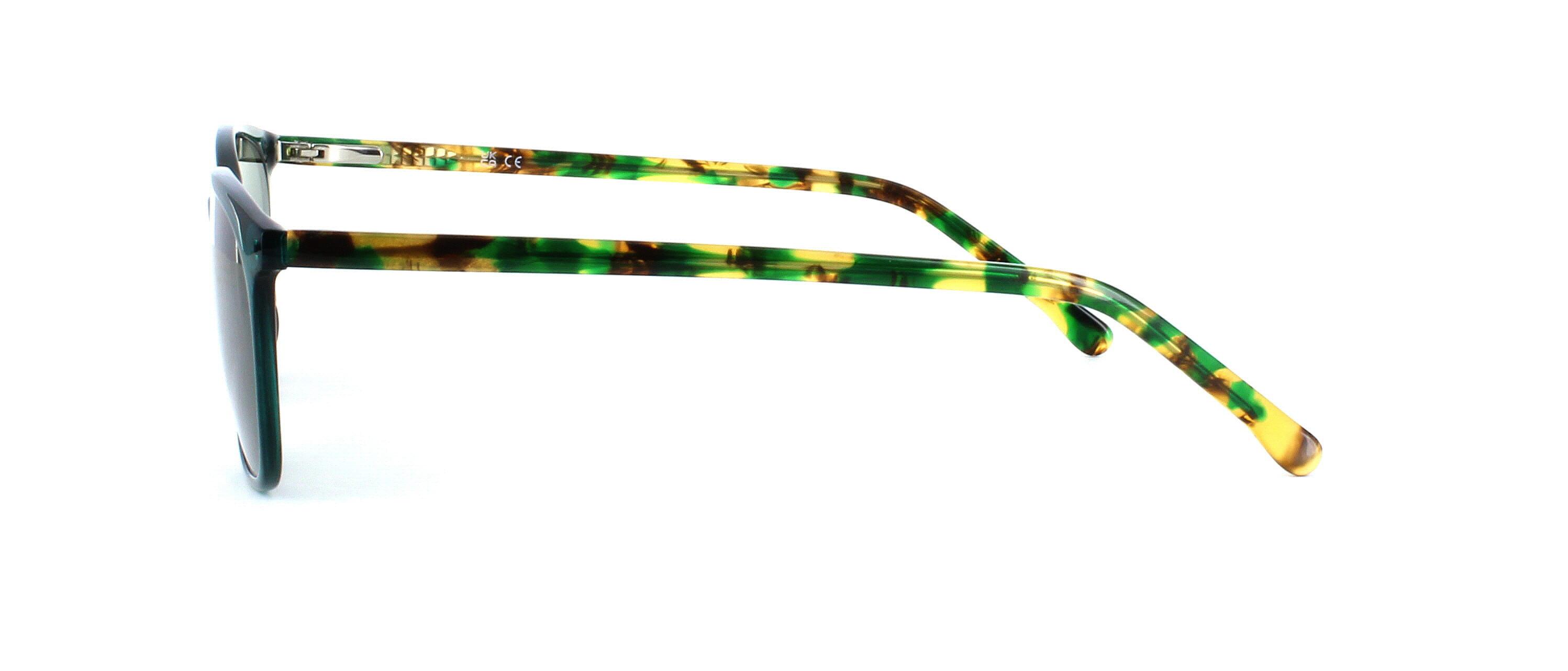 Hadstock - Ladies crystal green prescription sunglasses with oval shaped lenses and sprung hinged temples. Mottled brown acetate arms compliment this very attractive frame - image view 2