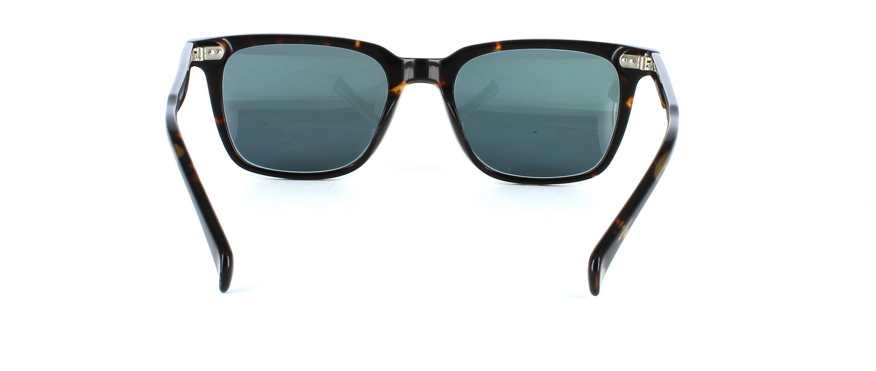 Vega - Unisex sunglasses with tortoise front face and matching arms - image view 3
