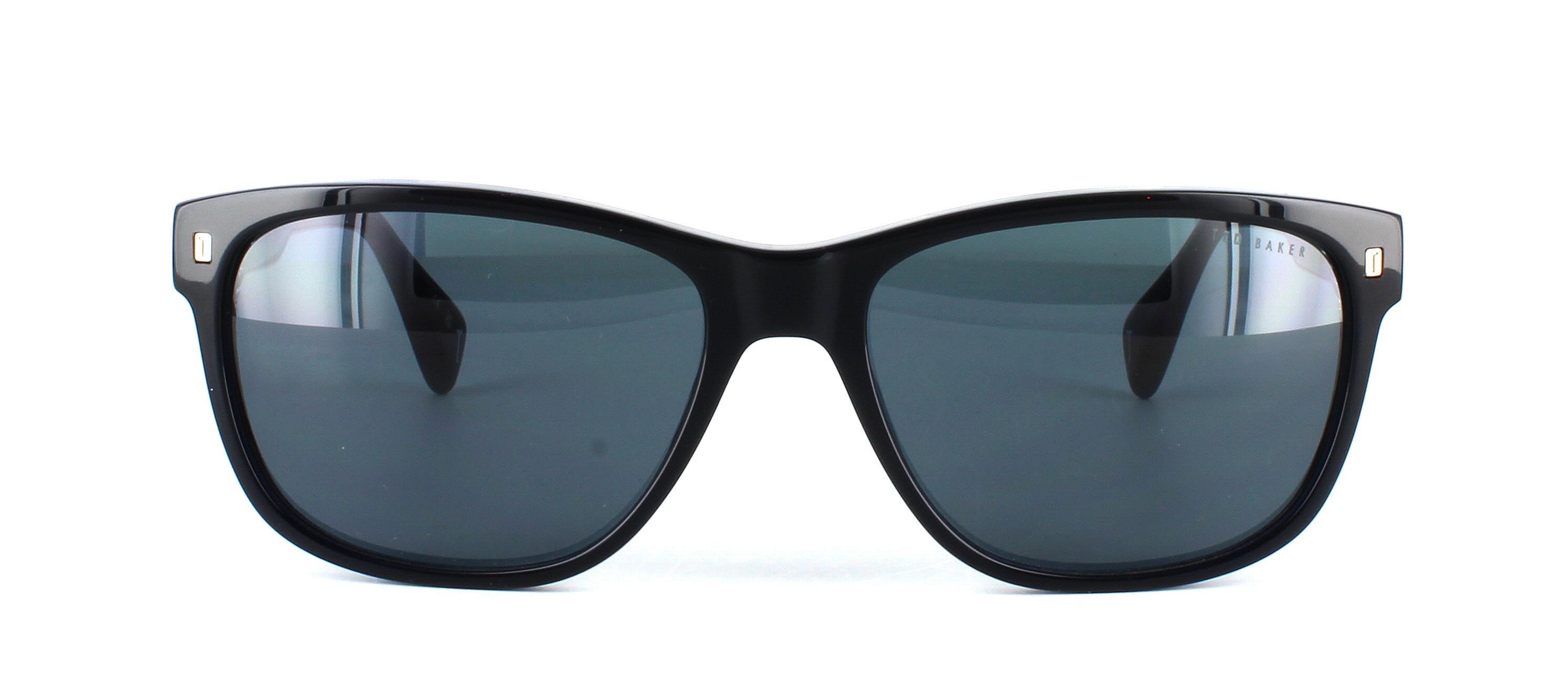 Ted Baker Dayton - Unisex dark blue with patterned reverse sunglasses and grystal blue acetate arms - image view 5