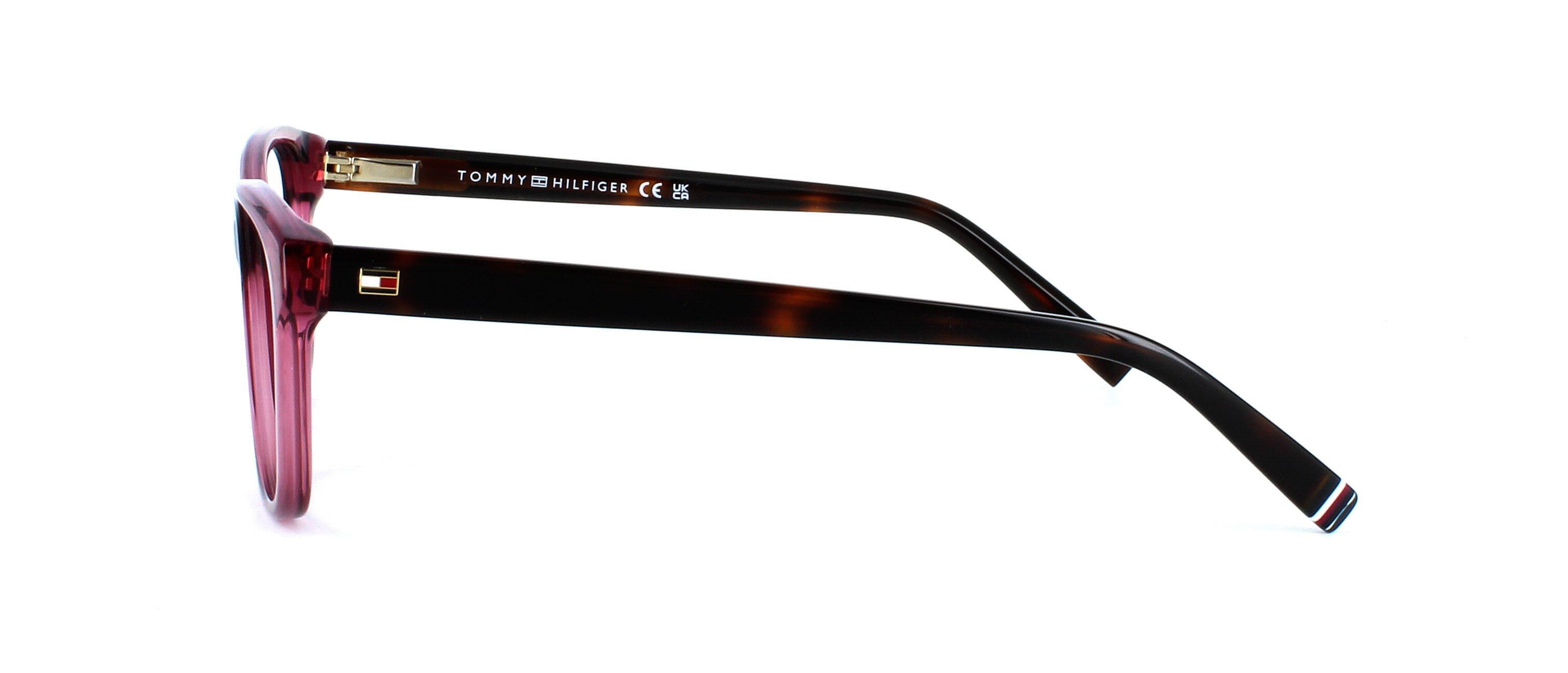 Ladies petite oval acetate frame, here in with a crystal burgundy face with sprung hinged dark tortoise arms - image view 3