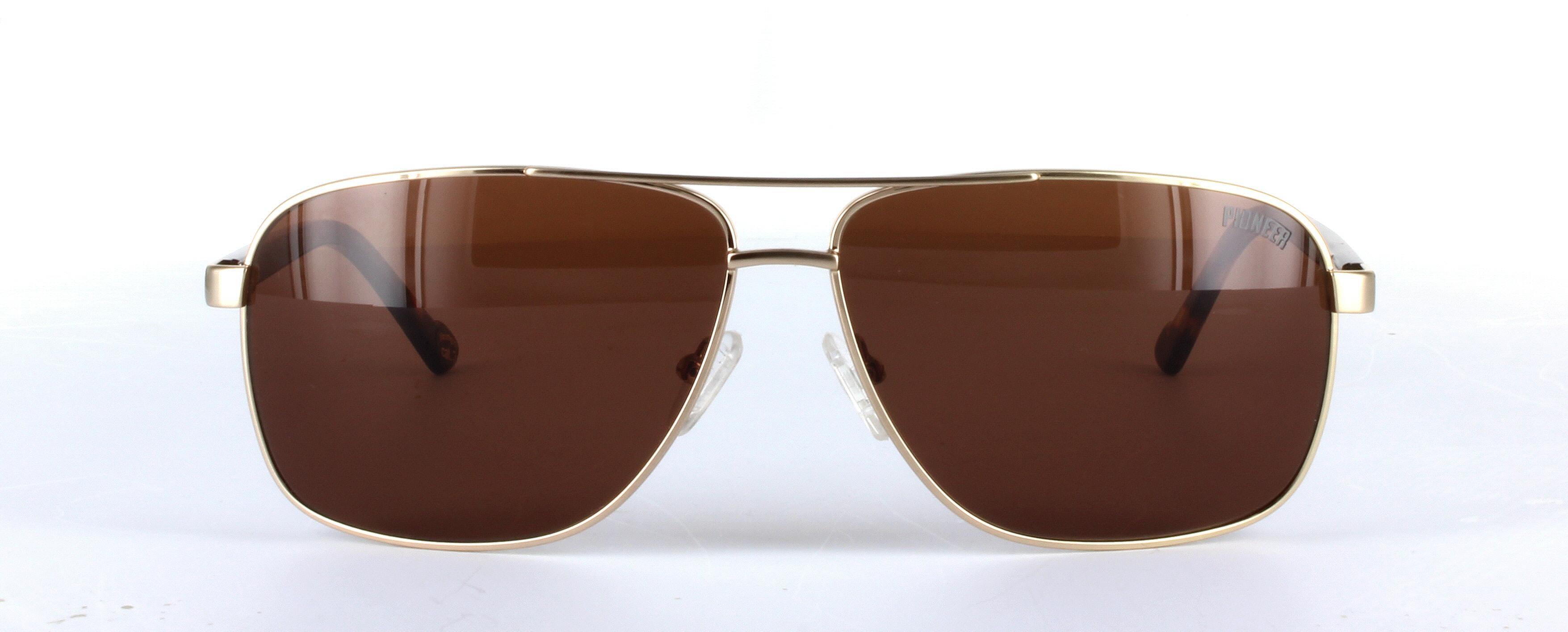 Salvador Aviator Sunglasses Gold | Glasses | Glasses2You