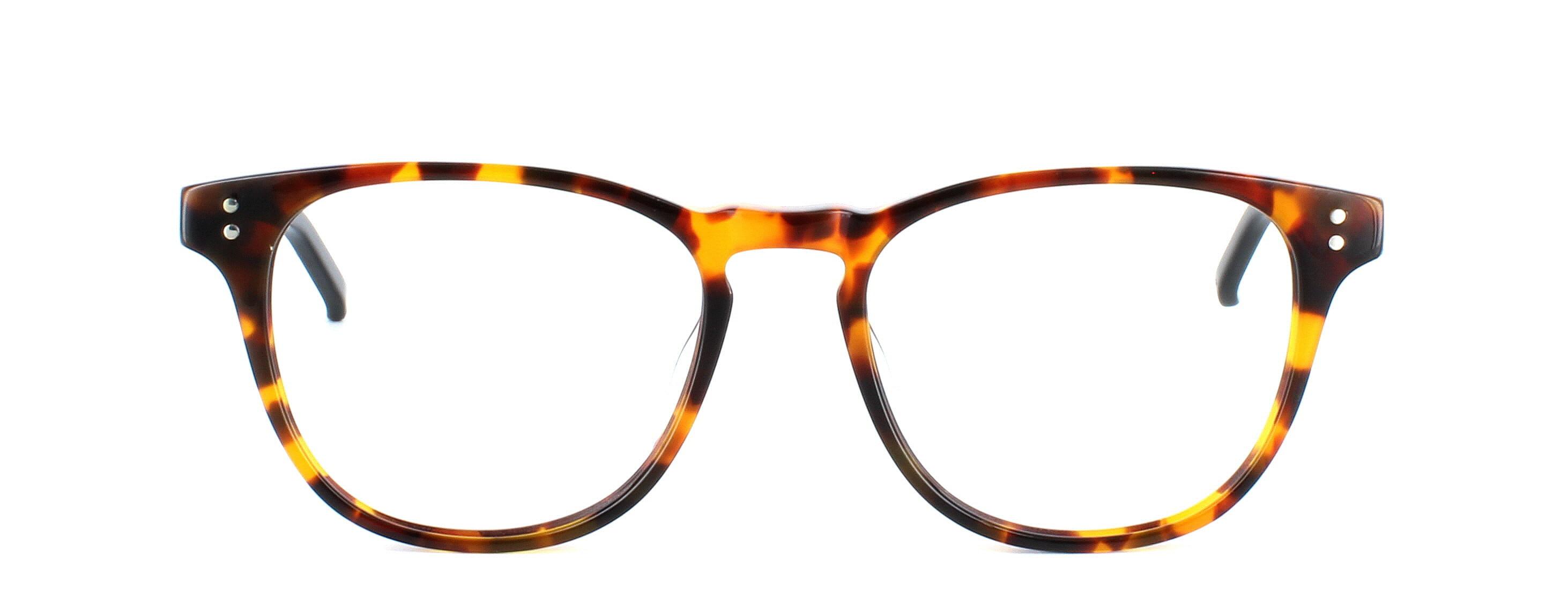 Hackett HEB 213 - Unisex acetate with tortoise face and black arms - image view 5