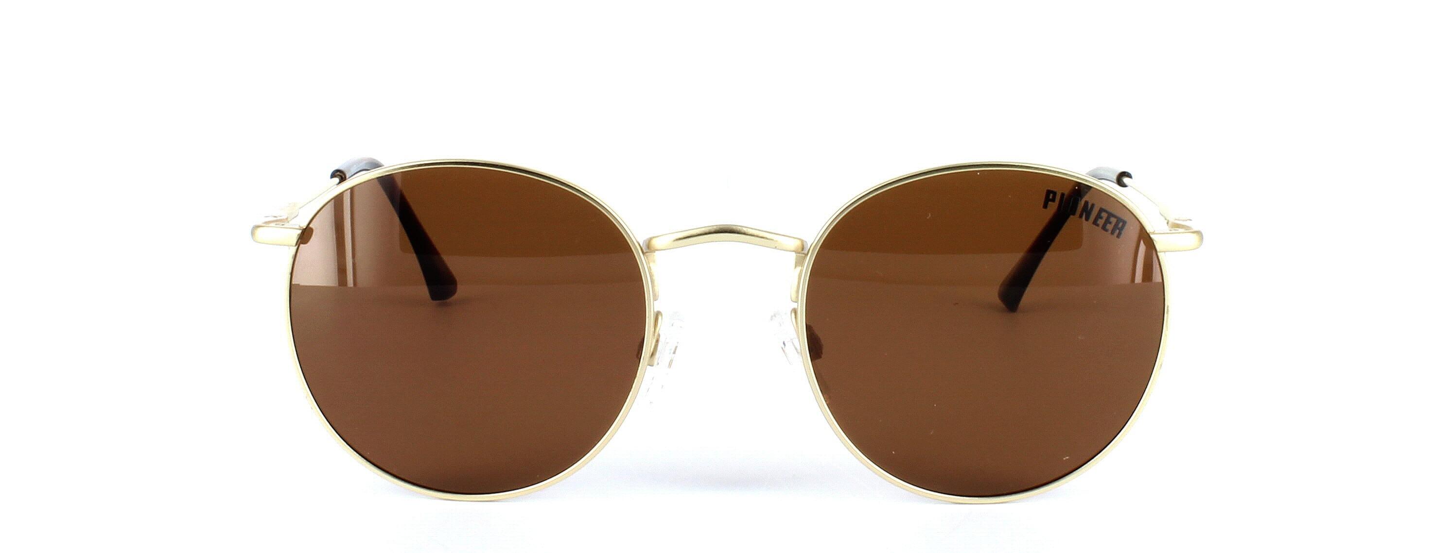 Olmeto - Unisex round shaped prescription sunglasses in gold - choose green, brown or grey tints inc in the price - image view 2
