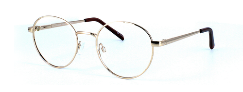 Collins - Round shaped unisex metal glasses here in gold - image view 1