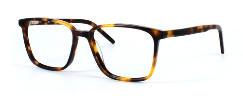 Lydney - Shiny tortoise unisex acetate glasses frame with sprung hinge temples - image view 1