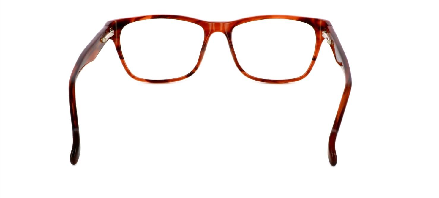 Abberley - plastic unisex glasses frames - tortoise - image view 3
